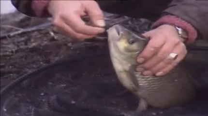 Go Fishing Master-class John Wilson with Richard Walker - Early years