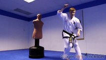 Martial Arts Tricking Sampler ft Valentino Solinas