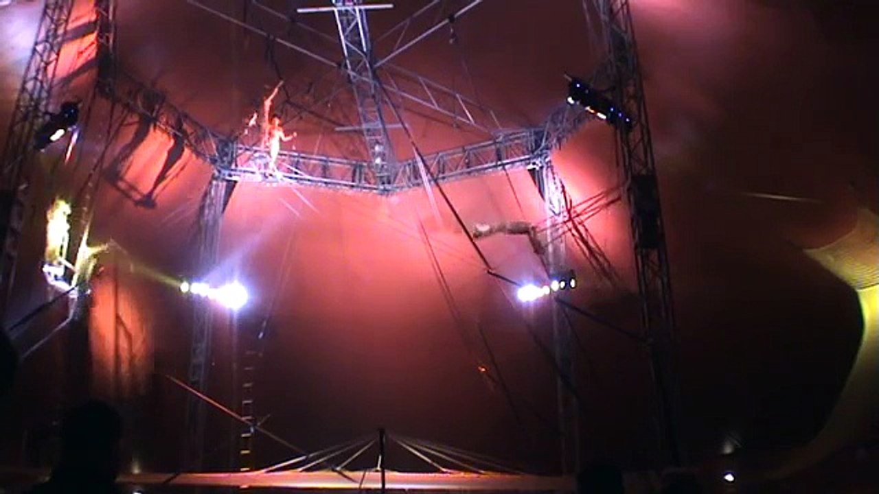 The Flying Trapeze, # 1248 , represented by Stefani Art Agency