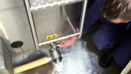 Melkveehouder moet 11000 liter melk laten weglopen - RTV Noord