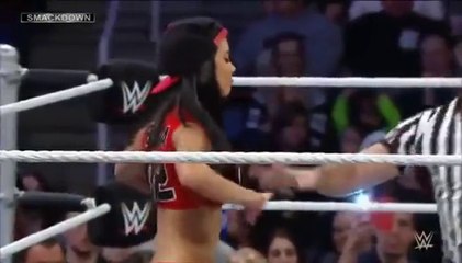 WWE SmackDown! 112114 Brie Bella (w Nikki Bella) vs. AJ Lee