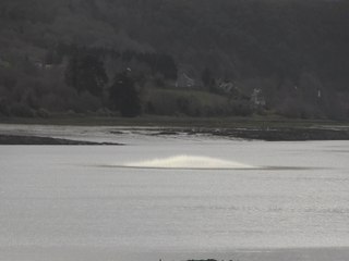 Déminage de quatre obus dans le Trieux, à Lézardrieux près de Paimpol