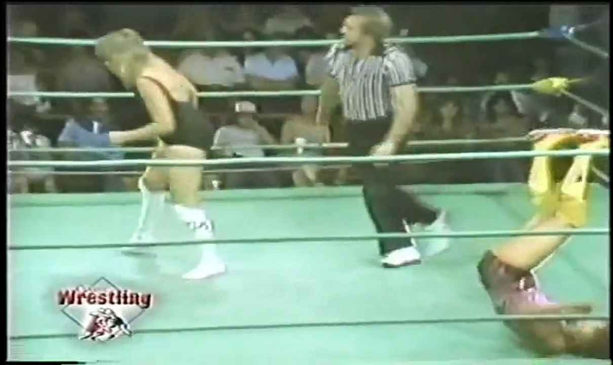 Sherri Martel vs Judy Martin