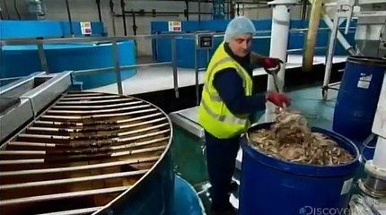 How Its Made 725 Worcestershire Sauce