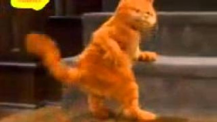 Funny.. Cat and dog dancing ..Funny Animal | Whatsaap video