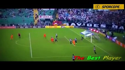 F.Bahçe’nin gözdesi Çin’e gitti