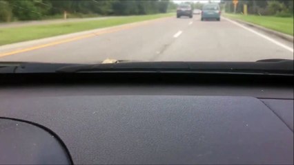 Une grenouille passagère clandestine d'une voiture