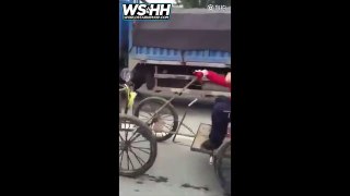 Dog Chases A Chicken That's In Front Of Him While Pulling A Cart For His Owner!