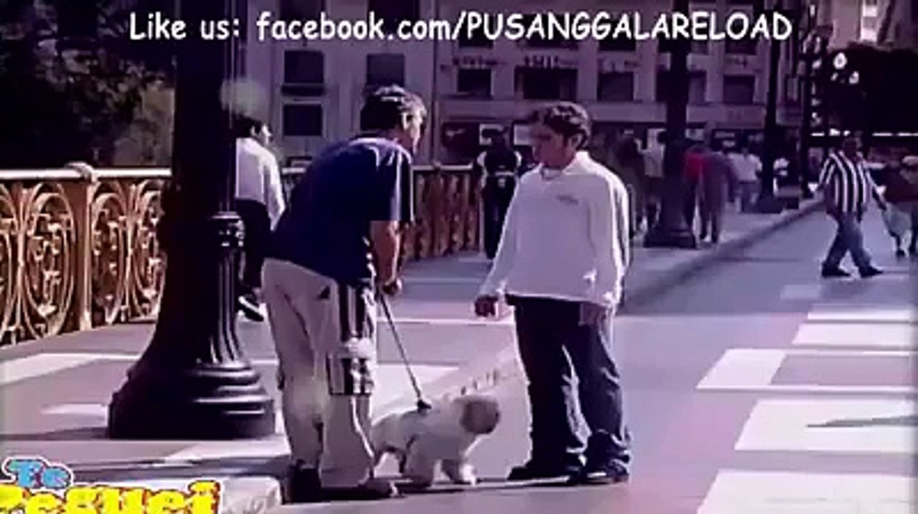 Funny Indian WhatApp Videos || Indian WhatsApp Funny Videos Compilation India