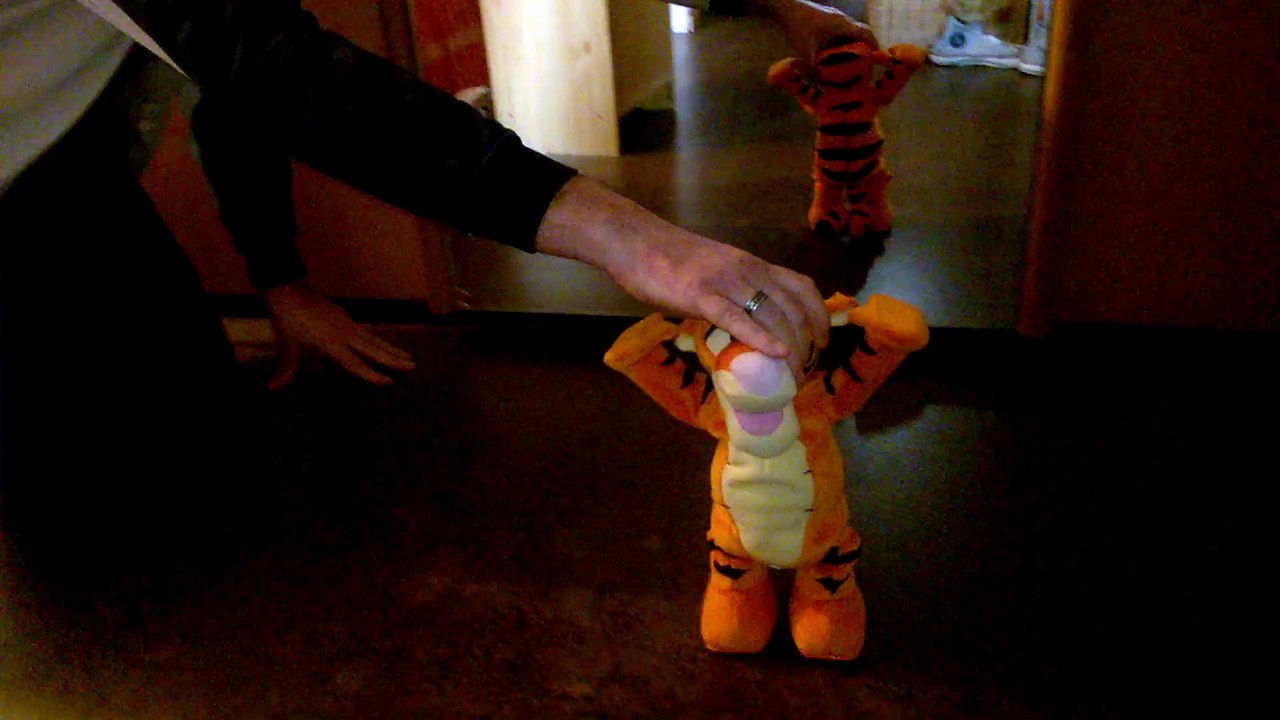Tigrou acrobate