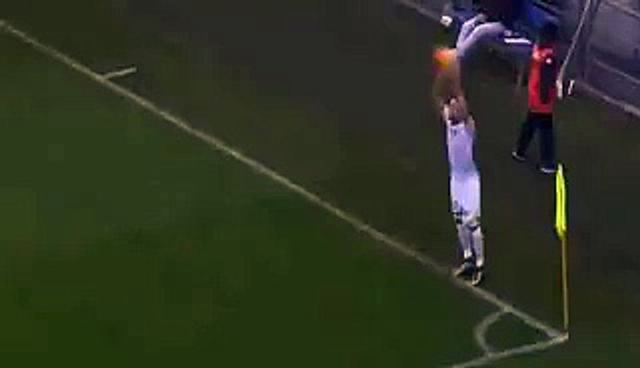 Federico Dionisi Goal - Sassuolo 0 - 1 Frosinone - 06_01_2016