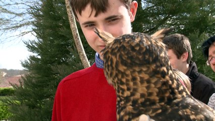 L'Académie Junior du Puy du Fou