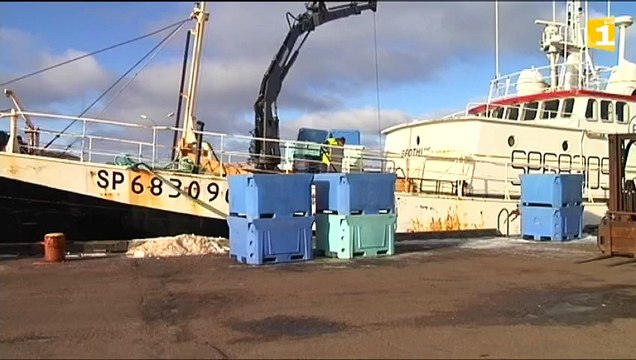 L'usine de Miquelon vise les 2000 tonnes de poissons traités en 2016