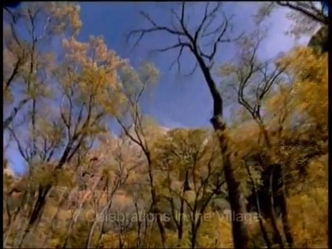 Music For Yoga - Simple Joy Sound Music For Relaxation, Meditation, Stress Relief, Workout