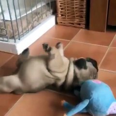 When you trying to get out of bed on monday