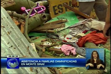 Ayuda para damnificados por árbol