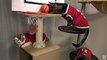 Shoot for the NBA! 10 cats obsessed with Basketball