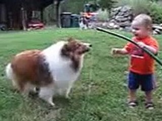 الكلب و الطفل