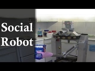 World's Weird Social Robots For Human