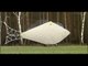 World's Largest Fish Shape Bicycle - Guinness World Records