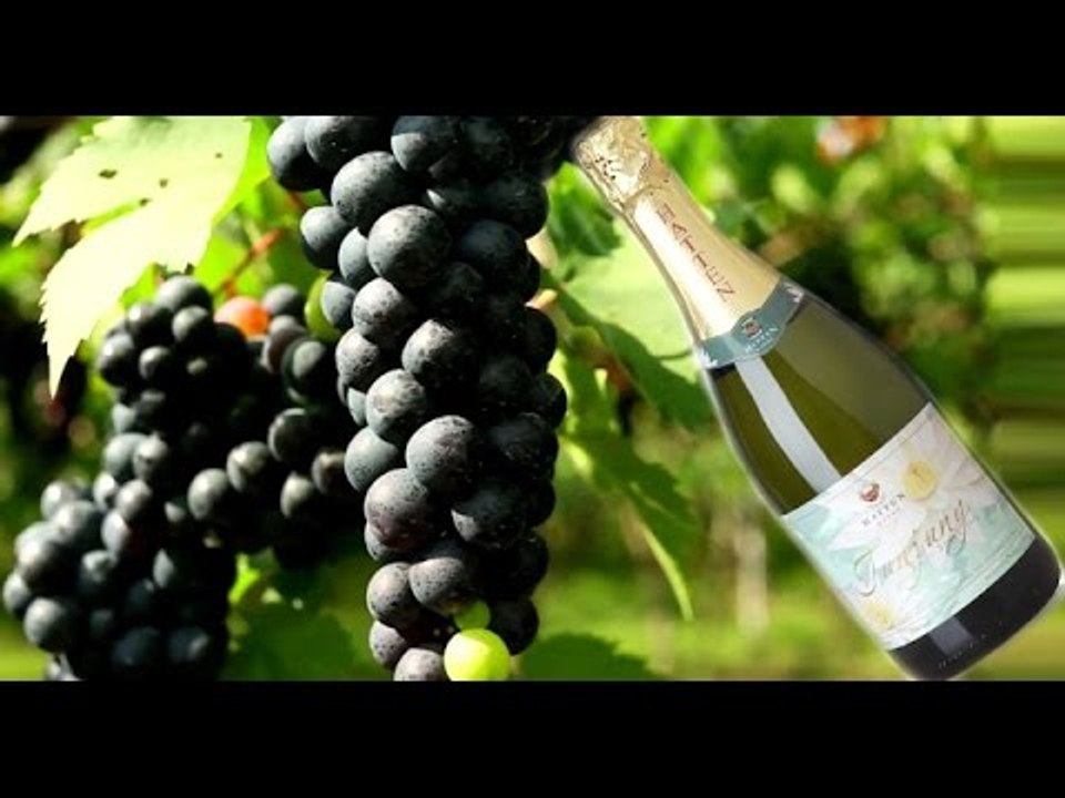 Grapes Original Wines in Hatten