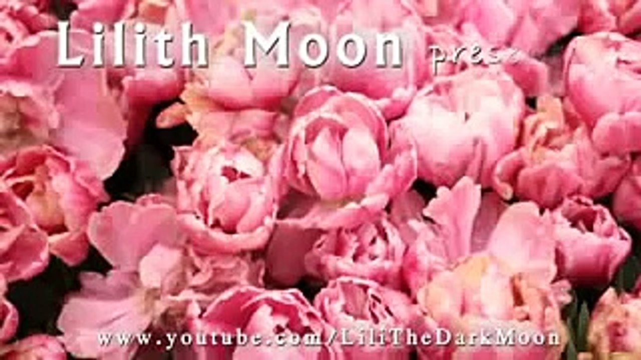 Einfache prom Hochzeit Hochsteckfrisur Frisur f r mittellange Haare Tutorial