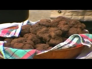 The Most Expensive Food In The World - Truffles