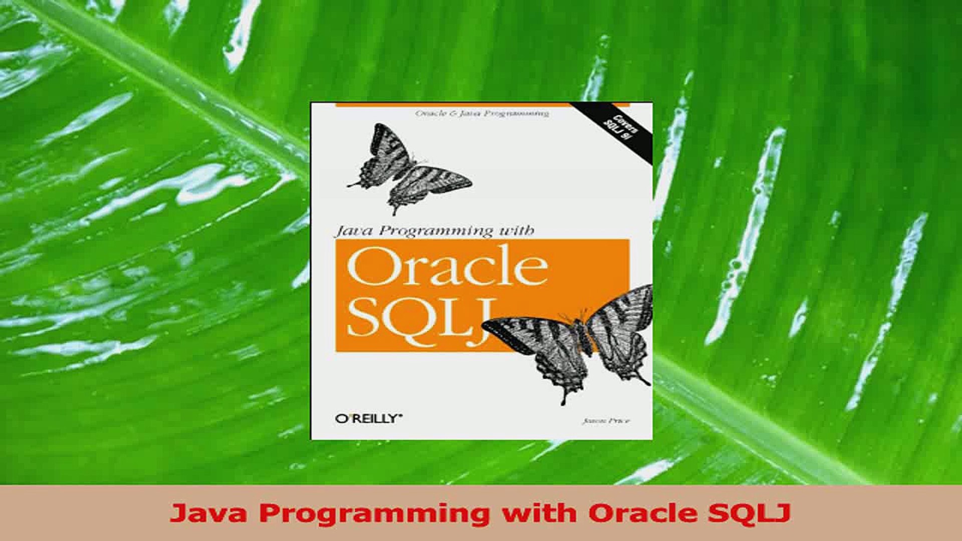 PDF Download  Java Programming with Oracle SQLJ PDF Full Ebook