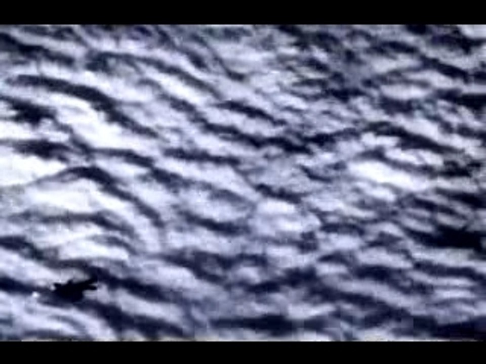 Pelican - GW (the highest step)
