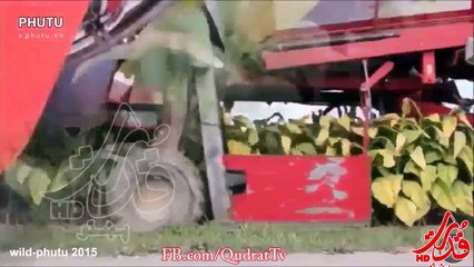 Discover the Latest in Modern Agricultural Machinery & Pashto Entertainment 🌾