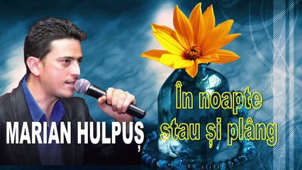 MARIAN HULPUS - STAU SI PLANG IN FATA TA