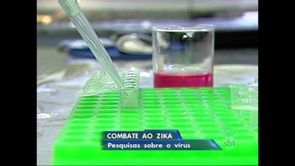 Pesquisadores do Senegal chegam a São Paulo para ajudar no combate ao zika