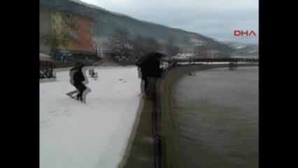 Kastamonu Avcılardan Kaçıp İlçeye İnen Domuz Av Tüfeğiyle Vuruldu