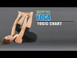 Yoga während der Schwangerschaft | Yoga During Pregnancy | Yogic Chart & Benefits of Asana in German