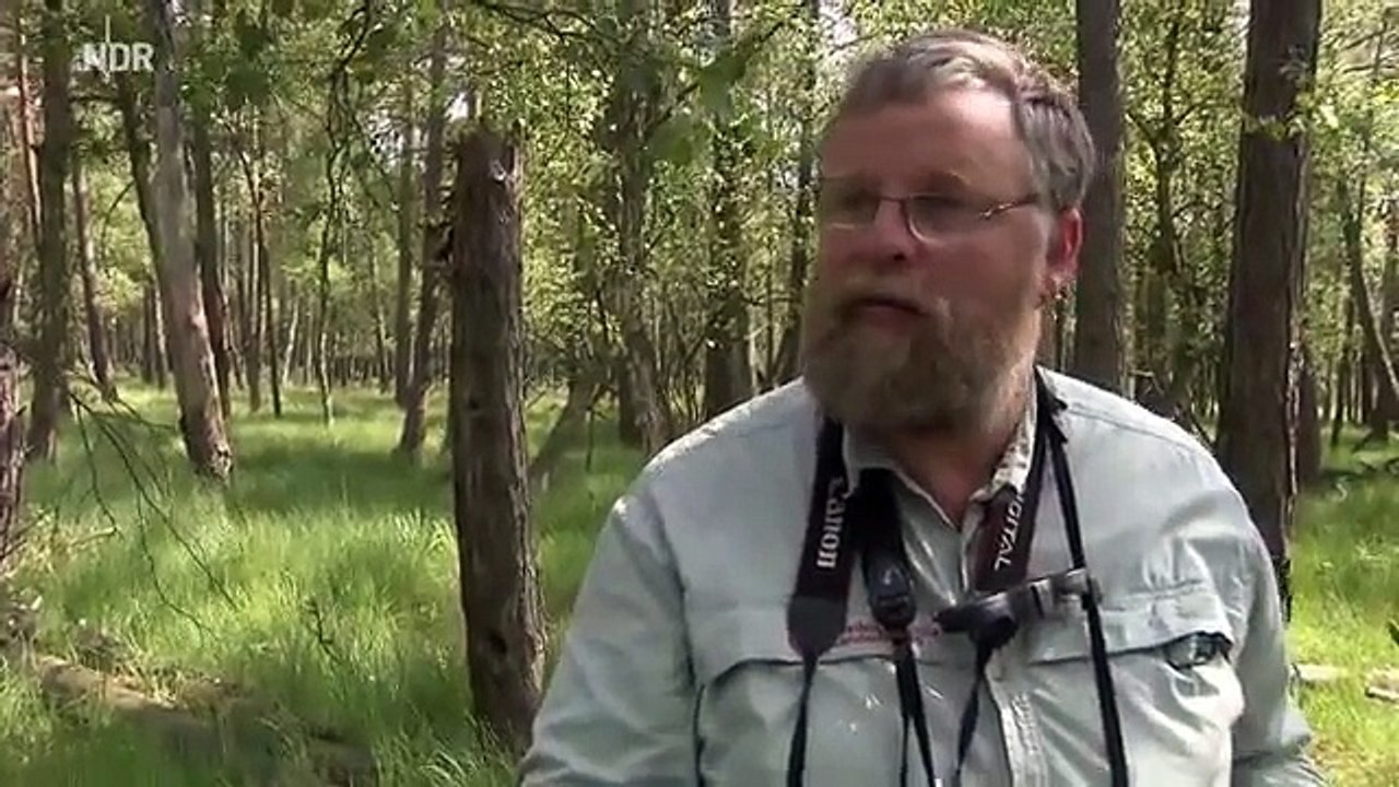 Die Nordstory: wiederentdeckt TV