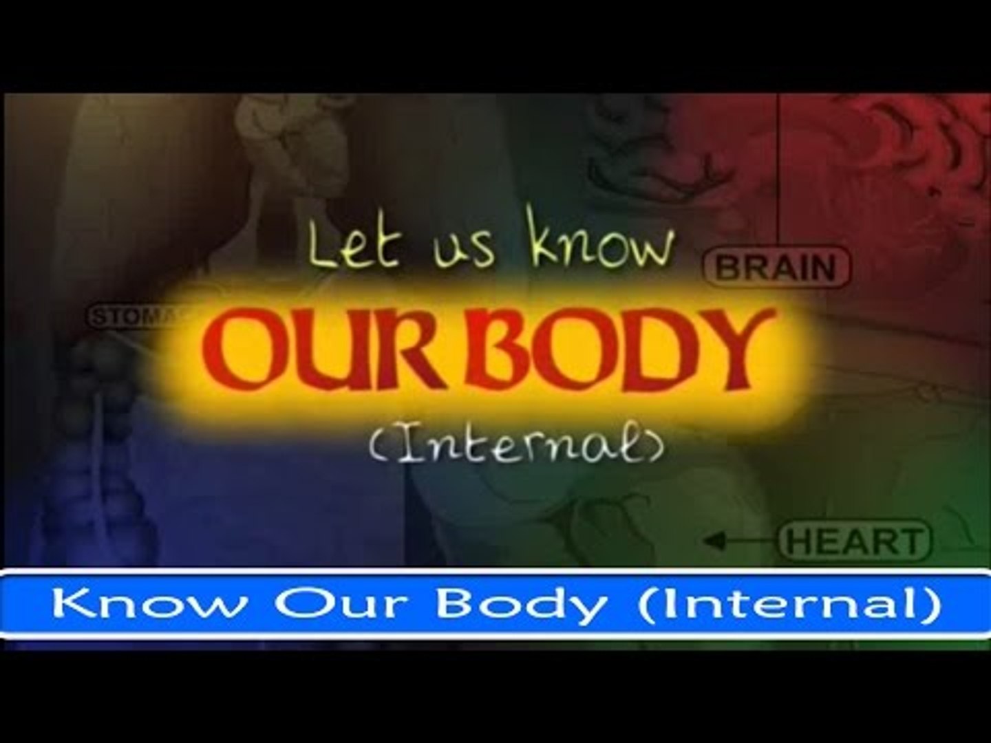 Let Us Know Our Body (Internal) - Fun And Learn Series in English