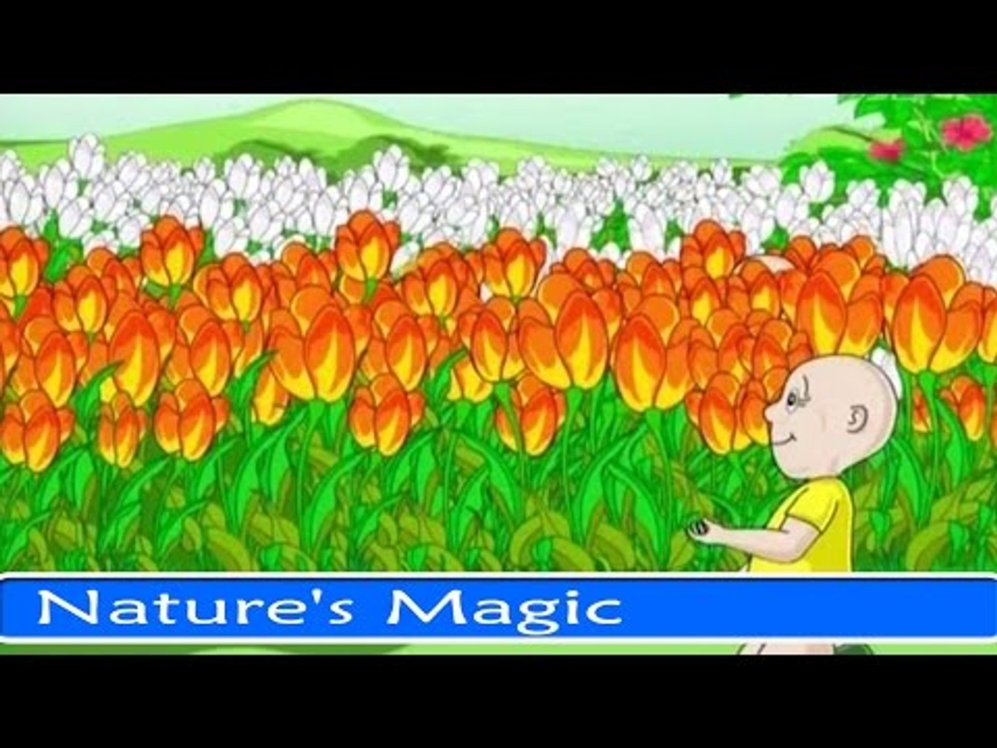Nature's Magic - Fun And Learn Series For Kids in English
