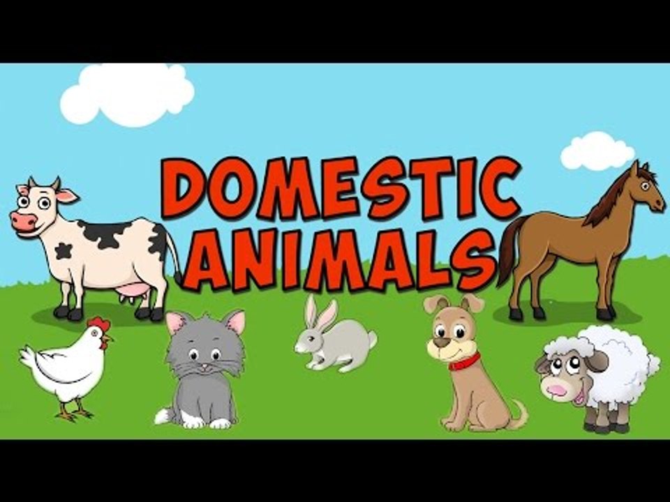 Learn - Domestic Animals - Kids Nursery Rhymes Educational Videos