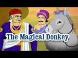 Akbar And Birbal - The Magical Donkey - Animated Stories For Kids