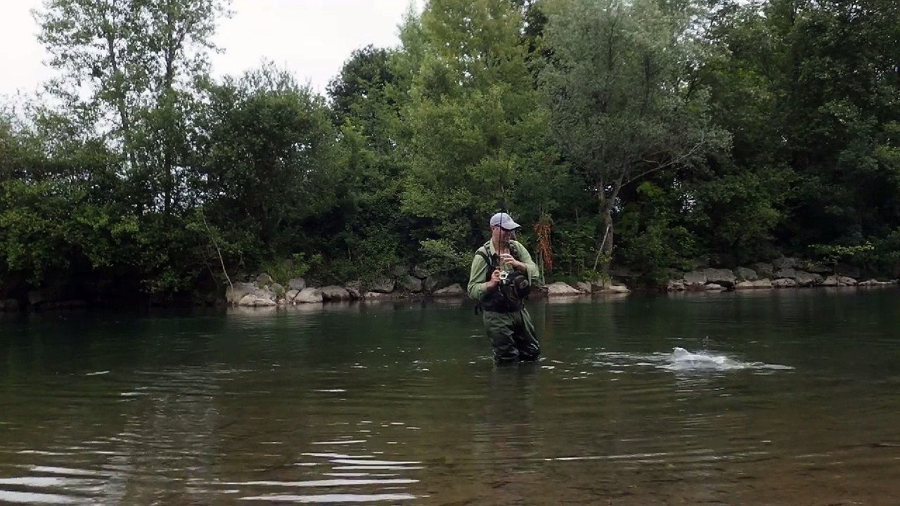 Pêche de l'alose au leurre souple sur un gave des Pyrénées