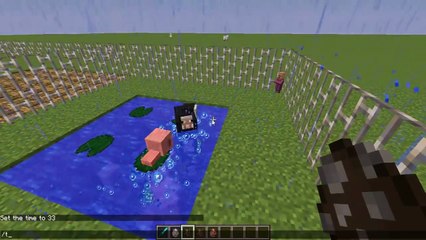 Секреты Minecraft #1