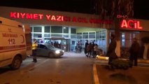 Hatay'da Domuz Gribi Şüphesi