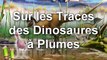 Post Scriptum 23 - Sur les Traces des Dinosaures à Plumes