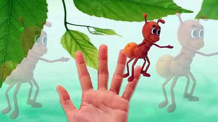 Antz Cartoon Finger Family Nursery Rhymes For Children _ Antz Finger Family Children Nursery Rhymes