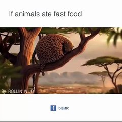 If Animal Ate Fast Food