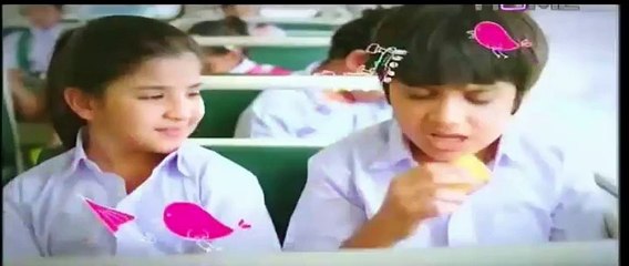 Zindagi Mujhay Tera Pata Chahiye 39 P1