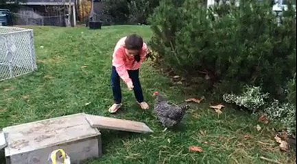 Just in case you need to smile tonight! The ending made me laugh so hard #agilitychicken