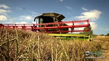 CLAAS LEXION 780 | JOHN DEERE 8360 RT | Horsch Überladewagen | Rapsernte | Oilseed rape