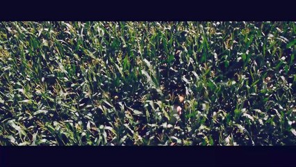 Boa Noite, Mamãe - Trailer