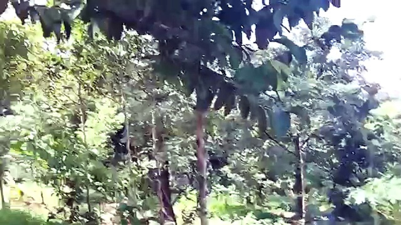 MOST shocking ghost footage[Real ghost soul captured] WATCH GHOST MOVIES Scary Videos